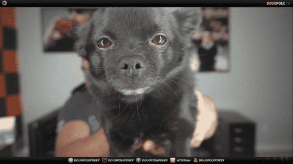 bankroll challenge day 23